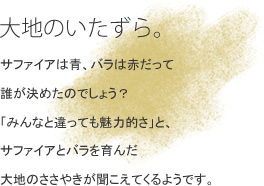 ��n�̂�������B �T�t�@�C�A�͐A�o���͐Ԃ����ĒN�����߂��̂ł��傤�H�u�݂�Ȃƈ���Ă����͓I���v�ƁA�T�t�@�C�A�ƃo������񂾑�n�̂����₫���������Ă���悤�ł��B